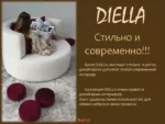Diella 1017